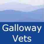 Galloway Vets