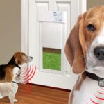 The Petdoor Company Ltd